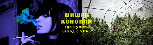 ГАЛЛЮЦИНОГЕННЫЕ ГРИБЫ Горнозаводск