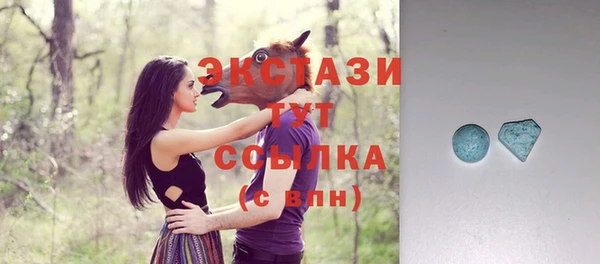 дмт Инсар