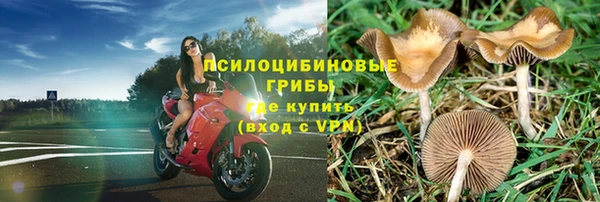 таблы Бородино