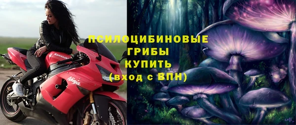 таблы Бородино
