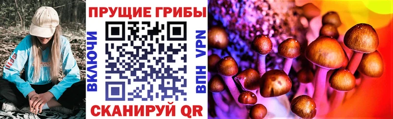 ссылка на мегу маркетплейс  Дальнегорск  Галлюциногенные грибы мицелий  сколько стоит 